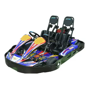 China Suppliers Family Amusement Rides Gas Powered Double Karting Car 2 Seats Cheap Go Karts For Sale