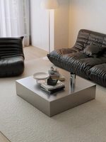 Table basse haute en acier inoxydable de style vintage minimaliste, mobilier de salon de luxe léger, moderne et simple, finition brossée