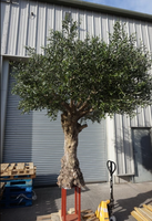 Arbre de simulation Grand olivier artificiel pour la décoration Ombre Plastique Arbre Olivier Artificiel Olive Tree