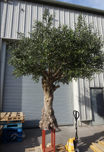 Arbre de simulation Grand <span class=keywords><strong>olivier</strong></span> artificiel pour la décoration Ombre Plastique Arbre <span class=keywords><strong>Olivier</strong></span> Artificiel Olive Tree - Product Image 4