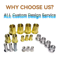 nut and bolt manufacturing pistachio nuts salted Small countersunk inner and outer half hexagonal blind hole rivet nuts