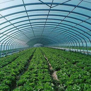 Landbouwkas voor tomaten en aardbeien, enkelspan, speciaal voor PE/PO-kassen, plastic folie kas - Product Image 2