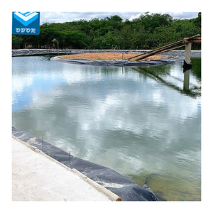 500 micron HDPE màng đất <span class=keywords><strong>Pond</strong></span> dam lót nhựa trang trại earch dam lót giá cả cạnh tranh cho Kenya - Product Image 3