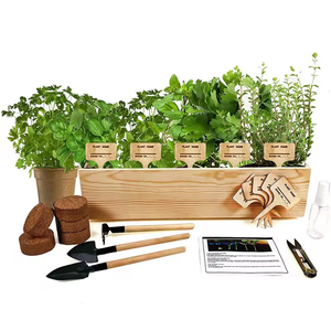 Bonsai macetas jardín cultivo herramientas kit <span class=keywords><strong>colgante</strong></span> maceta macetas de jardín interior al aire libre - Product Image 1