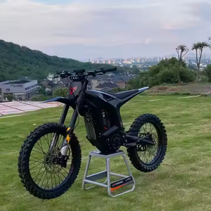 Nuovo Modello 2025 Arctic Leopard Moto Elettrica Fuoristrada Clouded Leopard Xe Pro, Talaria Sting R e Light Bee X - Product Image 3