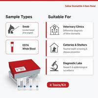 Kit de Detección PCR 4-Plex para Estomatitis Felina, Virus del Herpes Felino FeLV/FIV/FCV/FHV, Solo para Gatos, 4 Pruebas/Kit