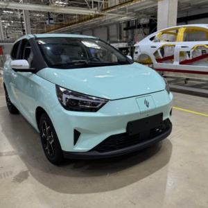 Nouvelle voiture électrique urbaine chinoise à 5 portes, conduite à droite, 4 places, haute vitesse, autonomie de 290 km - Product Image 1