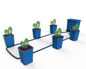 Sistema de cultivo 2022 DWC, Cubo de clon hidropónico para plantas de interior, Cubo de cultivo de agua profunda, cubo hidropónico - Product Image 2