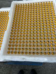 Gran oferta, sistema <span class=keywords><strong>de</strong></span> línea <span class=keywords><strong>de</strong></span> agua para gallinero, jaula para aves <span class=keywords><strong>de</strong></span> corral para <span class=keywords><strong>pollos</strong></span> <span class=keywords><strong>de</strong></span> <span class=keywords><strong>engorde</strong></span>, sistema <span class=keywords><strong>de</strong></span> agua potable eficiente, jaulas para animales - Product Image 4