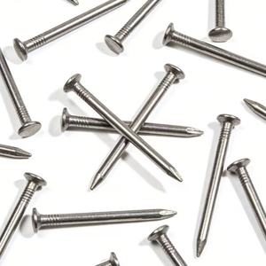Stainless Steel Common <b>Nails</b> 1.0mm Diameter Eco-Friendly Nickel Plated Polished Finish Carton Packed Smooth Shank ISO Standard - Product Image 2