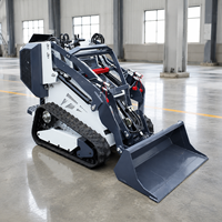 Mini-chargeuse sur chenilles diesel 1000kg 300kg 600kg avec livraison gratuite à vendre