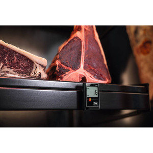 Original Testo 174H Mini <b>Temperature</b> and Humidity <b>Data</b> <b>Logger</b> - Product Image 1