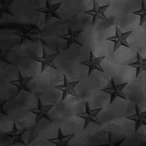 Drapeau américain noir durable 3x5 pieds avec œillets en laiton aux couleurs vives, broderie d'étoiles, accessoire de qualité pour décoration - Product Image 2