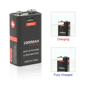 9V 1000 2600mah 800 2600mah 500 2600mah Mini USB Rechargeable BatteryためMultimeter InstrumentとMicro USB Charging Port