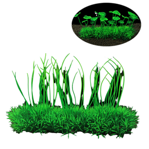 Hot Selling Groothandel Plastic <span class=keywords><strong>Live</strong></span> <span class=keywords><strong>Aquarium</strong></span> Planten <span class=keywords><strong>Aquarium</strong></span> <span class=keywords><strong>Aquarium</strong></span> Ornamenten Voor Woonkamer En Desktop 5W Power Verpakt <span class=keywords><strong>In</strong></span> Zakken - Product Image 1