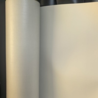Bâche en PVC de qualité industrielle enduite de couteau pour dôme gonflable et couverture de grand stade sportif