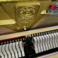 Premium Pearl River Piano Wholesale Fine Craftsmanship Full Resonance Reliable Quality for Worldwide Distributors