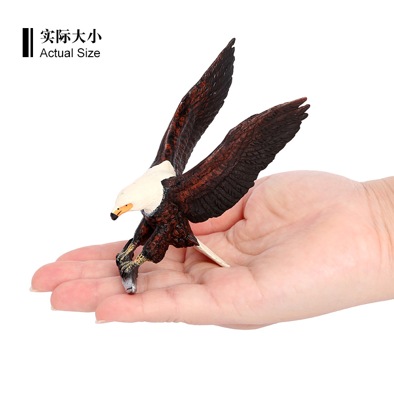 2984 Águila pez africana