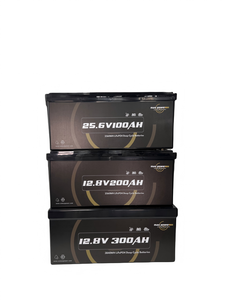 电动汽车房车和应用的最大功率24V 100Ah长容量环保LiFePO4轻质电池 - Product Image 3