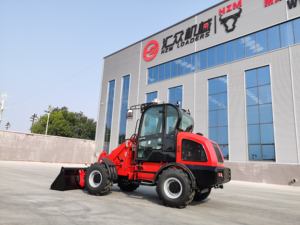 Pala Gommata 816 Economica dalla Cina - Product Image 6