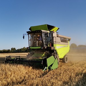 Maquinaria de Cosecha Ecológica y de Ahorro de Energía TF120 260HP, Cosechadora de Bajo Consumo para Cultivos Ecológicos - Product Image 4