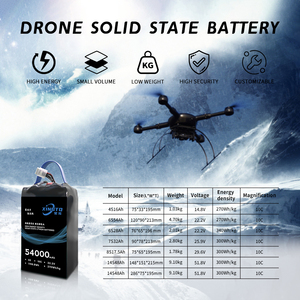 <span class=keywords><strong>4S</strong></span> 6S 12S 14S 18S 24S 17000mAh 20000mAh 54000mAh mật độ cao lithium tế bào LiPo pin cho Drone BMS UAV Lipo - Product Image 3
