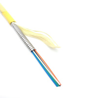 Tube en acier inoxydable 12C LSZH PE PVC anti-rongeur câble de dérivation à fibre optique blindé OM2 / OM3 / OM4 / G652D / G657A1 / G657A2