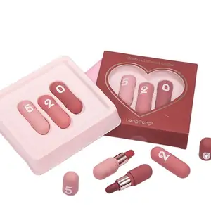 Valentine's gifts full color moisturizing nude matte solid lipstick oem 520 3 colors capsule batom lip kit velvet for students