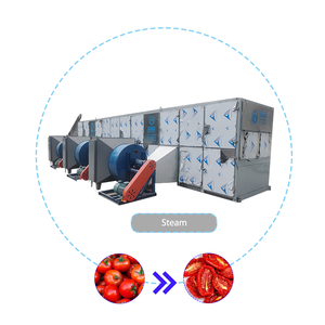Equipo de Secado de Pulpa de Tomate, Máquina Secadora de Tomate - Product Image 1