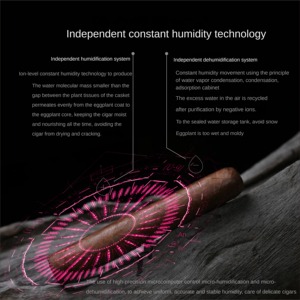 Réfrigérateur à compresseur intégré au gaz de 335 L en acier inoxydable, armoire à cigares pouvant accueillir 2100 cigares, boîte à cigares pour la maison - Product Image 4