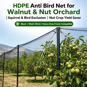 Filet anti-<span class=keywords><strong>oiseaux</strong></span> en HDPE de qualité alimentaire pour tunnel à fraises en champ ouvert, maille fine 10mm-20mm - Product Image 6