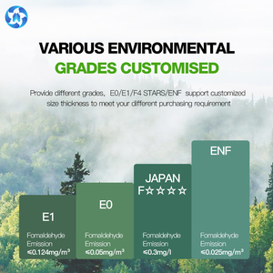 E0 E1 gỗ tự nhiên Veneer flakeboards 4x8 không thấm nước chưa hoàn thành ván dăm 12-18mm dày cấp công nghiệp - Product Image 4