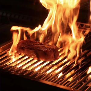 Sistema de elevación de trinquete y trinquete de carbón Ladrillos refractarios de acero inoxidable Asado <span class=keywords><strong>Parrilla</strong></span>/ Santa María/<span class=keywords><strong>Parrilla</strong></span> <span class=keywords><strong>Argentina</strong></span> - Product Image 5