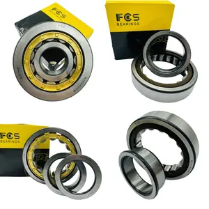 FCS Brand Cylindrical Roller Bearings D060014939 22211E 2324EC Double Roller Bearing NJ210ECP Single Row