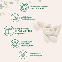 Capsules de collagène végétalien pur naturel OEM avec acide hyaluronique, biotine et vitamine C pour une peau jeune et un soutien de la longévité cutanée