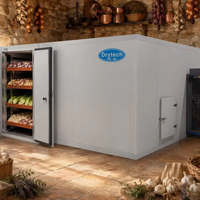Vente directe d'usine - Machine à sécher les tomates - Machine à sécher le gingembre