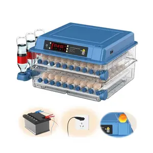 Factory direct supply Bird Hatching Dc Eggs Incubator