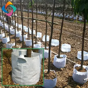 אקולוגי geotextile שתילה לגדול שקיות לכיסוי גידולים, עצים, פרחים, עגבניות, גנים