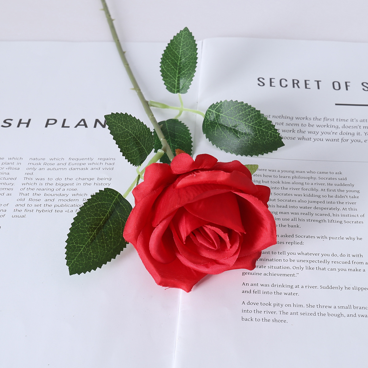 Rose big red one-silk cloth