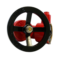 Vanne d'accès oblique pour hydrant d'incendie BSP 2,5 pouces BS336, rouge, en alliage d'aluminium flexible, accessoires d'équipement de lutte contre l'incendie