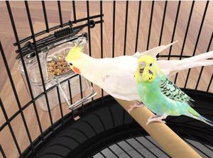 Cage à oiseaux canari ronde en métal de fer bureau maison jardin intérieur extérieur Cages à perroquets vente par boîte d'emballage - Product Image 5