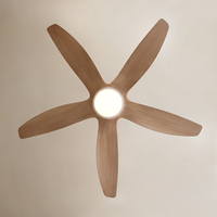 C255 Ventilateur de plafond de 48/62 pouces avec kit d'éclairage avec télécommande Ventilateur en ABS à 5 pales