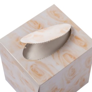 Box <b>Tissue</b> Facial <b>Tissues</b> 2 Ply Virgin Wood Pulp Home Use Wooden <b>Pattern</b> Design - Product Image 1