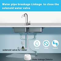Détecteur de fuite d'eau intelligent Tuya Zigbee, détecteur d'inondation, alarme d'immersion, Alexa, hub Tuya requis
