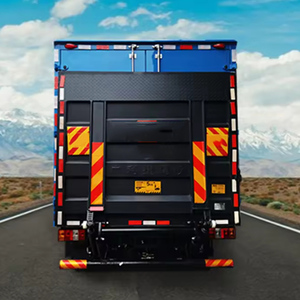 Fornitura Diretta Ricambi per Camion, Pedana Sinistra per Volvo Fl 280 Cabina Bassa <span class=keywords><strong>Renault</strong></span> <span class=keywords><strong>Midlum</strong></span> 220 Alto - Product Image 6