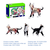 Modèle d'anatomie animale de chat simulé en 28 parties pour la science médicale, cadeau pour enfants, ressource pédagogique CE/ISO