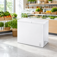 Réfrigérateur vertical à une porte avec refroidissement par air pour supermarché, idéal pour les aliments frais