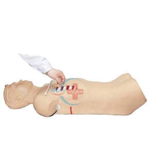 Modelo de Entrenamiento Médico de Drenaje Torácico Cerrado HC-S508 Happycare Medical Science - Product Image 2