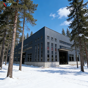 Bâtiment en acier préfabriqué sur mesure pour hangar d'équipement, personnalisable, résistant aux vents forts, durée de vie de 50 ans, certifié ISO9001, moderne - Product Image 1