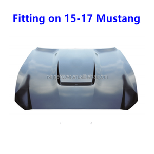 Kit de Carrocería de Alta Calidad para Ford <span class=keywords><strong>Mustang</strong></span> FT350R, Parrilla Delantera <span class=keywords><strong>Shelby</strong></span>, Labio Delantero <span class=keywords><strong>GT350R</strong></span> para <span class=keywords><strong>Mustang</strong></span> 2015-2017 - Product Image 6